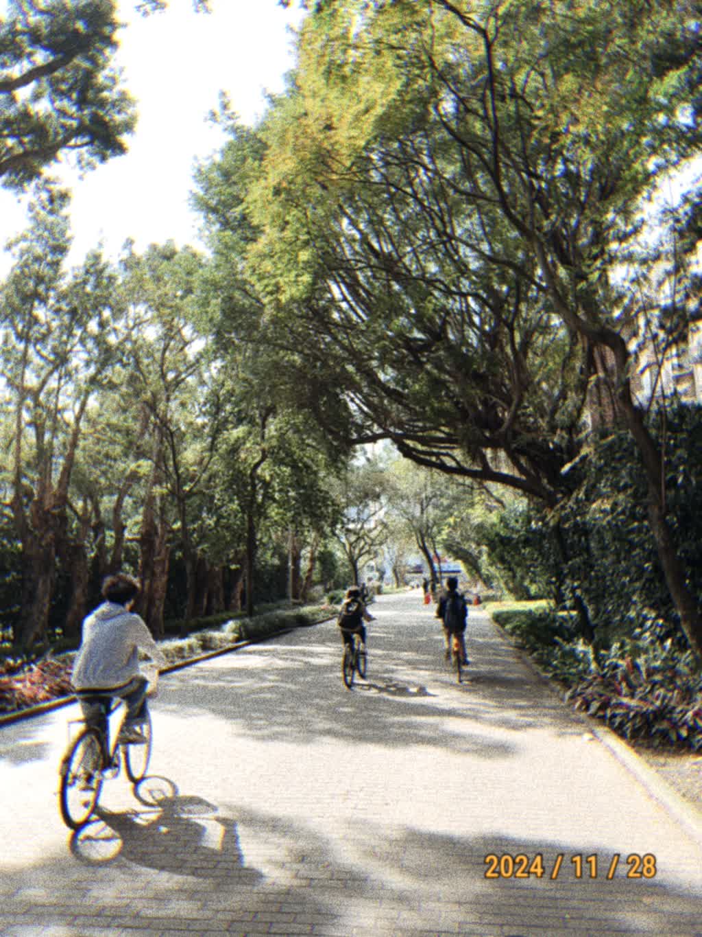 國立臺灣大學的求學、科系、環境、特色與打工求職概況介紹－104升學就業地圖