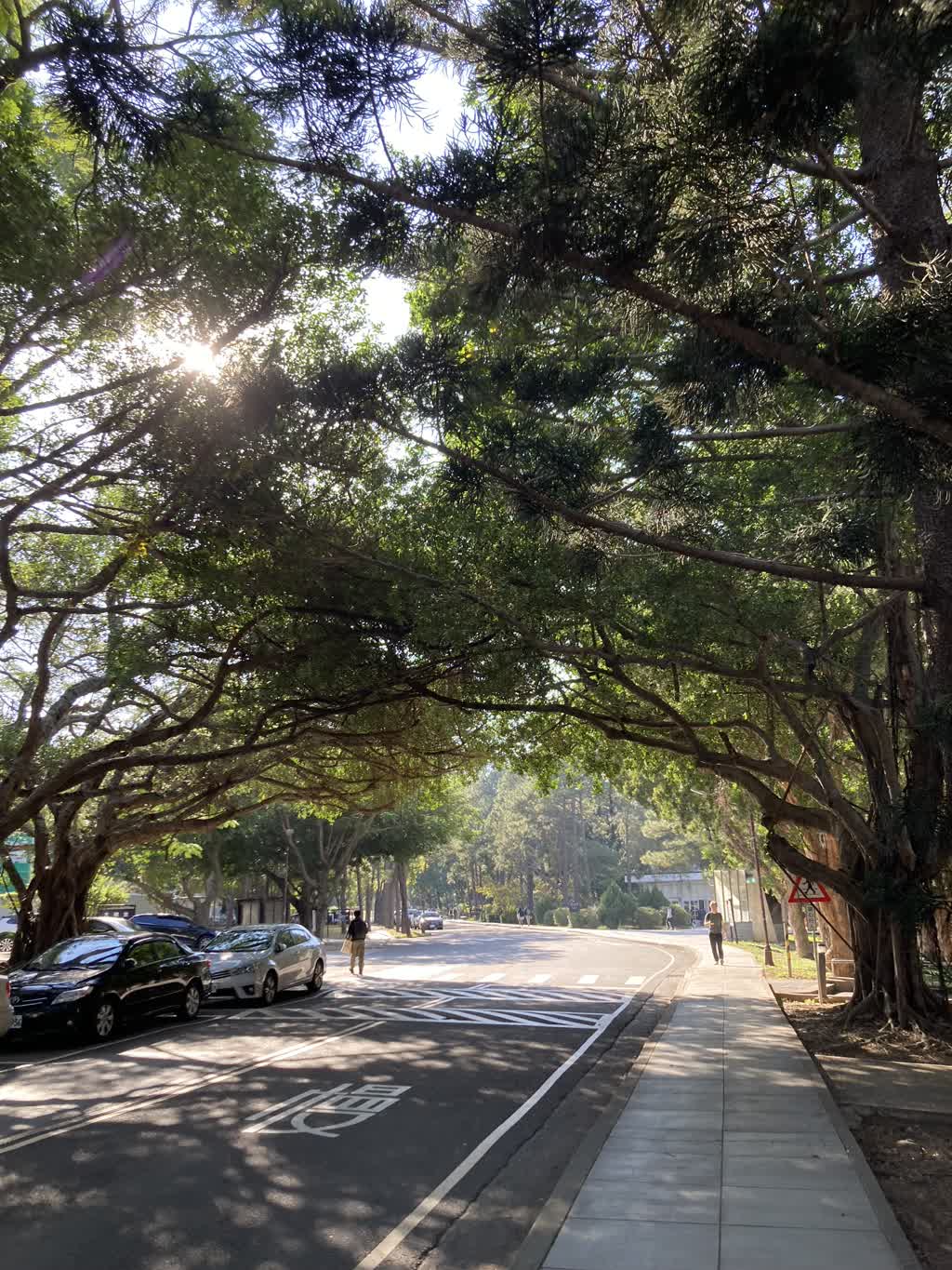 國立清華大學的求學、科系、環境、特色與打工求職概況介紹－104升學就業地圖